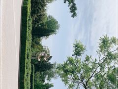 -国家植物园