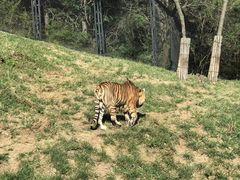 -大连森林动物园