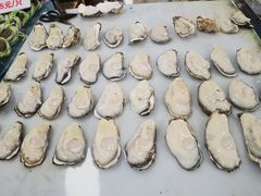 -大湾区中央湿地公园-十九涌