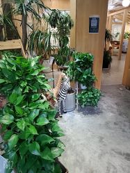 -七色田儿童摄影(静安店)