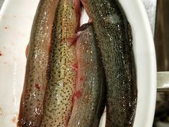 -重庆毛肚王自助火锅(总店)