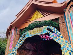 -西双版纳原始森林公园