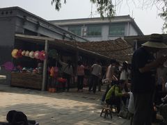 -白洋淀景区