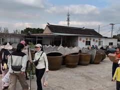 -苏州市吴中区光福窑上花果蜜饯厂