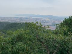 -府君山公园
