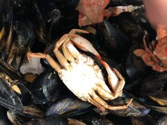 -宾朋海鲜特色美食餐厅·纯手工鲅鱼水饺(兴海路店)