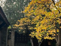 -万寿八仙宫