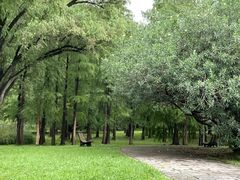 -上海共青森林公园