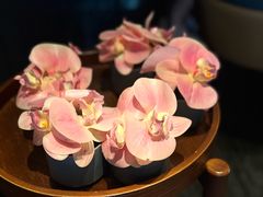 -御膳汤品(猎人坊店)