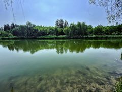 -大兴滨河森林公园