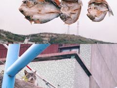 -东极岛景区
