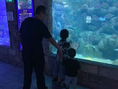 -左海海底世界