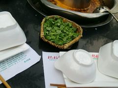 -楠柏弯休闲山庄(梨花溪店)