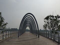 -大兴滨河森林公园