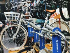 -GIANT捷安特自行车专卖店(金桥台儿庄路店)