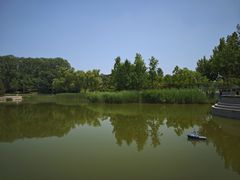 -大望京公园