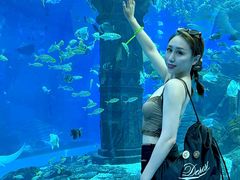 -波塞冬旅游度假区