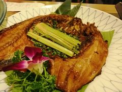 -紫滇源云南生态菜(丹凤街店)