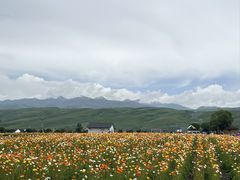 -新疆那拉提国家旅游度假区