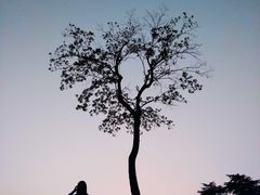 -钟山体育运动公园