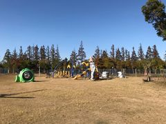 游乐设施-上海长兴岛郊野公园