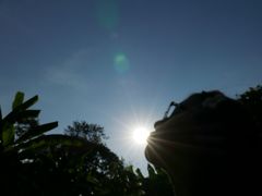 -大象粑粑造纸公园