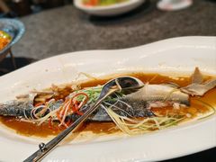 -俭寨大盘鸡·新疆菜·烧烤(博乐店)
