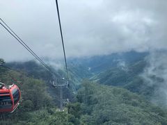 -牛背梁国家森林公园
