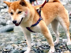 -九峰山