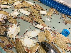 -一方渔歌蒸汽海鲜自助(文化路万达广场店)