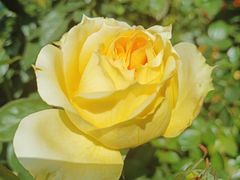 -人民公园(罗湖区)