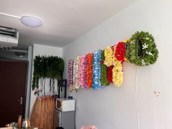 -呼拉汇舞蹈生活馆 Hawaii Hula&Tahiti Dance Studio