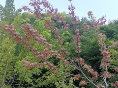 -孤山寨风景区
