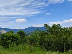 -武汉姚家山旅游景区