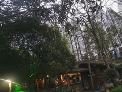 -青城甲(青城山店)