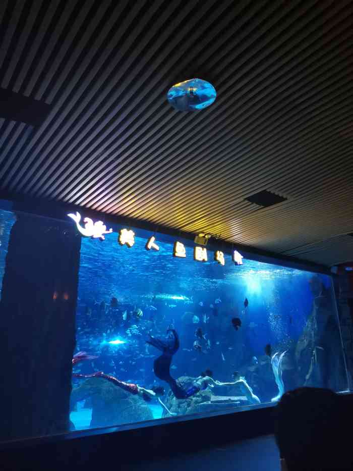 锦艺城海洋馆-"我是网上团的成人票89一张,小朋友现场买.