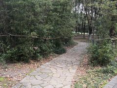 -白塘生态植物园
