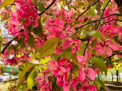 -元大都城垣遗址公园