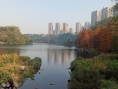 -重庆彩云湖湿地公园