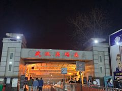 -武汉关码头(轮渡站)