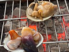 -震海贝烤贝·民俗特色店(延吉总店)