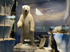 -国家自然博物馆