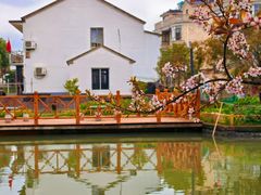 -同里国家湿地公园