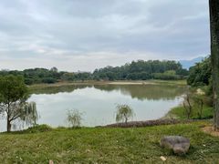 -福建鲤鱼洲酒店