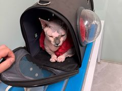 -达爱动物医院·犬猫分区·CT·复杂眼科(远洋山水分院)