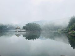 -庐山风景区花径公园