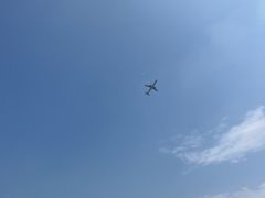 -空港花田景区