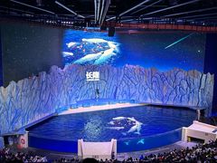 -珠海长隆海洋王国