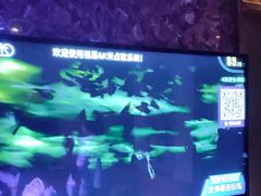-萧邦音乐会所KTV·蒸汽活海鲜自助(福田店)