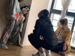 -Husky Go! 哈士奇体验馆·宠物咖啡厅狗咖